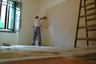 Interior House Painting Picture